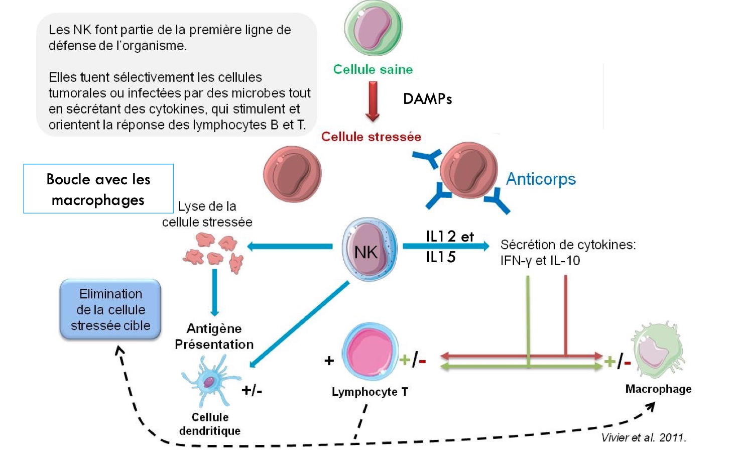 Figure de biologie 6
