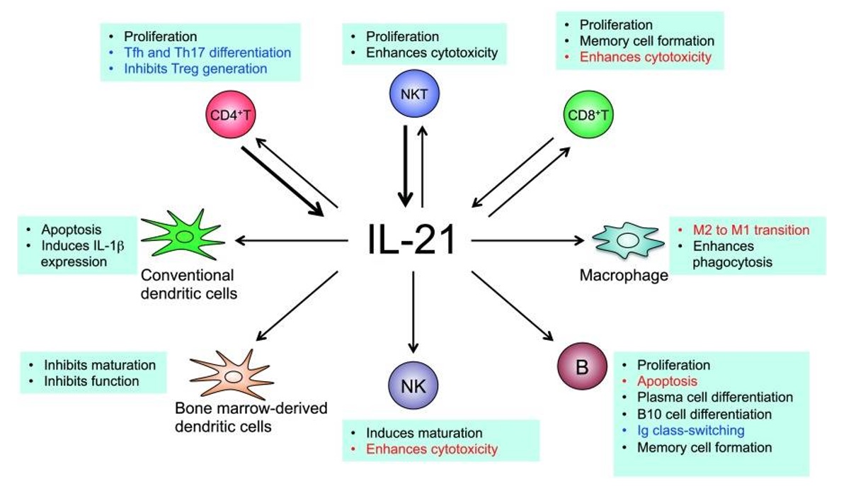 Figure de biologie 7