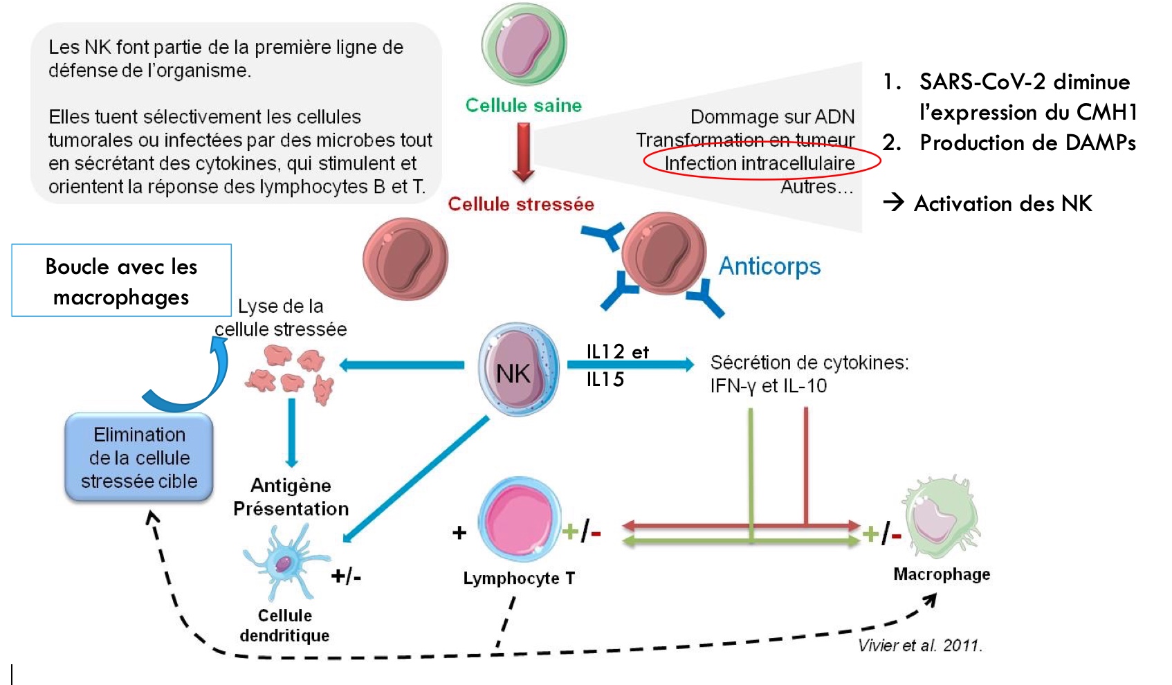 Figure de biologie