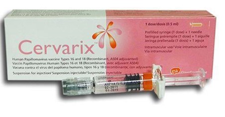 HPV05