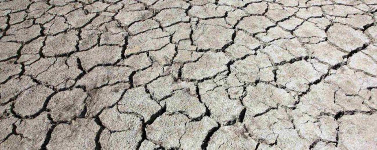rechauffement-climatique-francesoir_46_field_image_de_base.jpg Le réchauffement climatique est l'une des causes de la sécheresse.