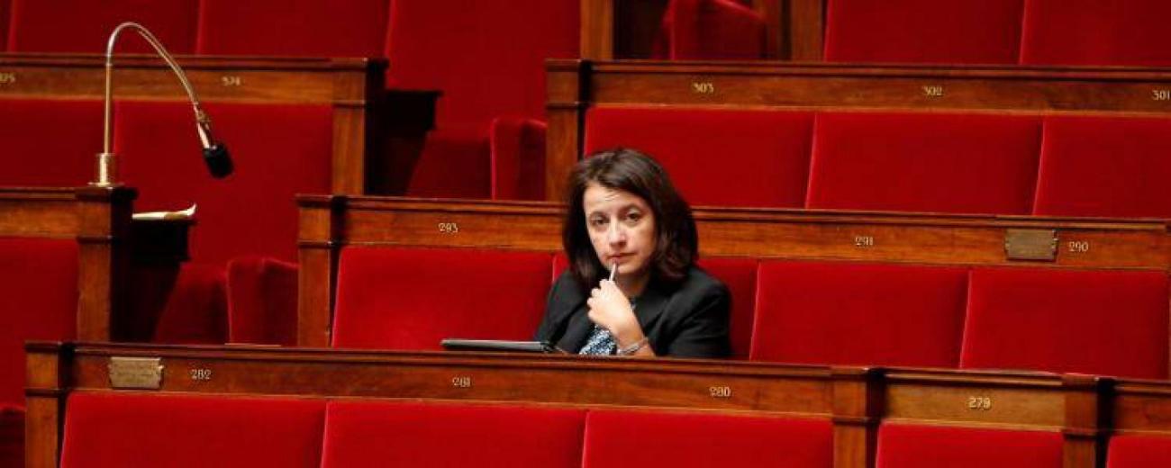cecile-duflot-assemblee-nationale-seule-eelv-ecologiste-loi-francesoir_field_image_de_base.jpg Cécile Duflot.
