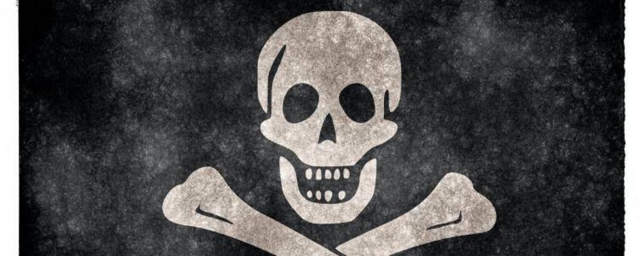 drapeau-pirate-francesoir_field_image_de_base.jpg Le "jolly roger", le drapeau des pirates.