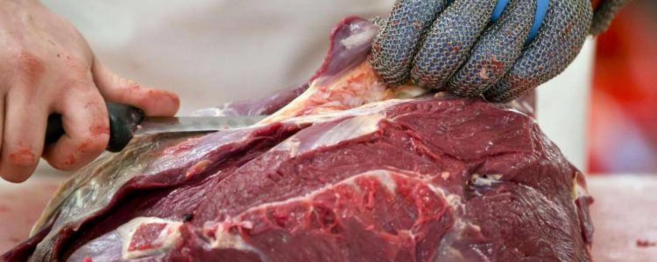 viande-cheval-francesoir_field_image_de_base.jpg De la viande de cheval.