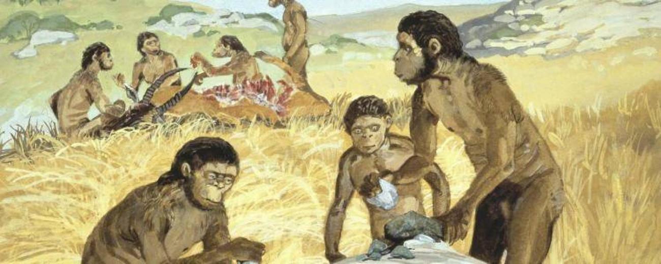 homo-habilis-prehistoire-archeologie-francesoir_field_image_de_base.jpg Des Homo Habilis