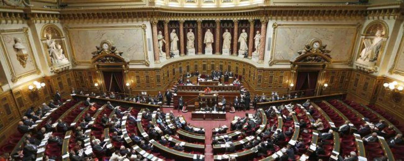 senat-francesoir_field_image_de_base.jpg Sénat illustration